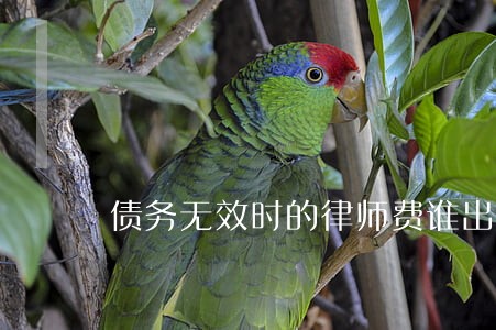 债务无效时的律师费谁出 债务无效时的律师费谁出