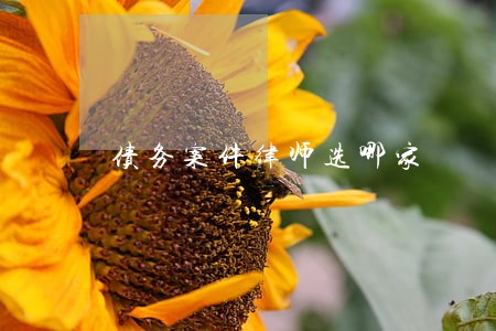 债务案件律师选哪家 债务案件律师选哪家