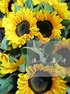 债务案件的律师费谁出 债务案件的律师费谁出