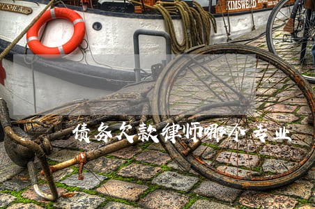 债务欠款律师哪个专业 债务欠款律师哪个专业