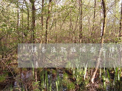 债务没能催回委托律师有责任