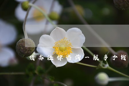 债务法律咨询一般多少钱 债务法律咨询一般多少钱