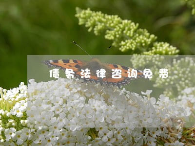 债务法律咨询免费 债务法律咨询免费