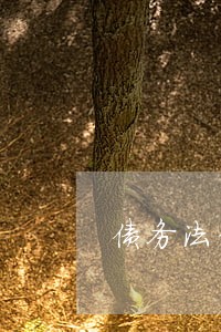 债务法律咨询律师免费不 债务法律咨询律师免费不