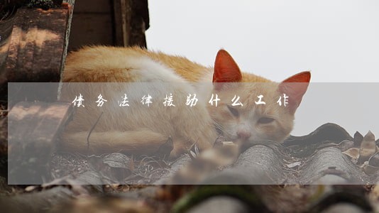 债务法律援助什么工作 债务法律援助什么工作
