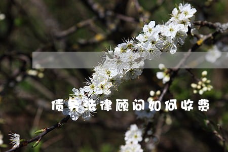 债务法律顾问如何收费 债务法律顾问如何收费