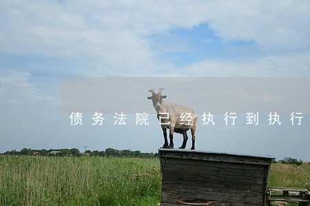 债务法院已经执行到执行局了 债务法院已经执行到执行局了