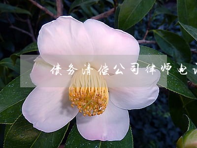 债务清偿公司律师电话 债务清偿公司律师电话