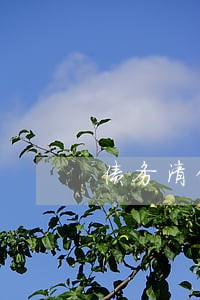 债务清偿律师函 债务清偿律师函