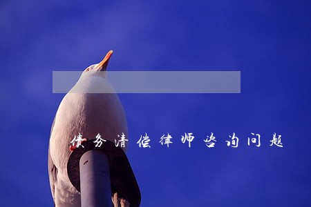 债务清偿律师咨询问题