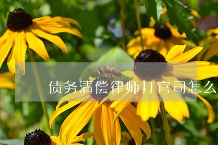债务清偿律师打官司怎么收费 债务清偿律师打官司怎么收费