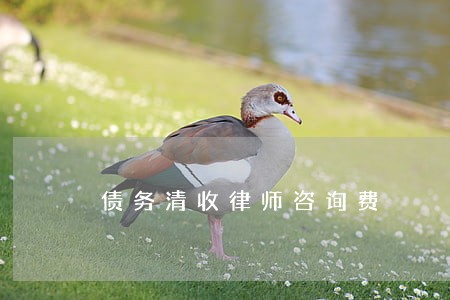 债务清收律师咨询费 债务清收律师咨询费
