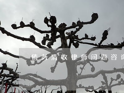 债务清收律师问题咨询 债务清收律师问题咨询