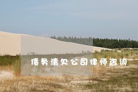 债务清欠公司律师咨询 债务清欠公司律师咨询