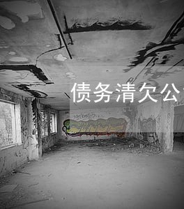 债务清欠公司律师咨询纠纷