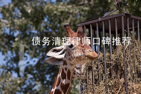 债务清理律师口碑推荐 债务清理律师口碑推荐