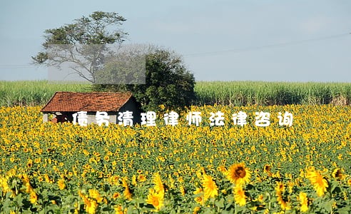债务清理律师法律咨询 债务清理律师法律咨询