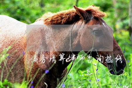 债务清算律师咨询热线 债务清算律师咨询热线