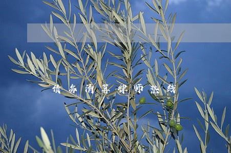债务清算律师热线 债务清算律师热线
