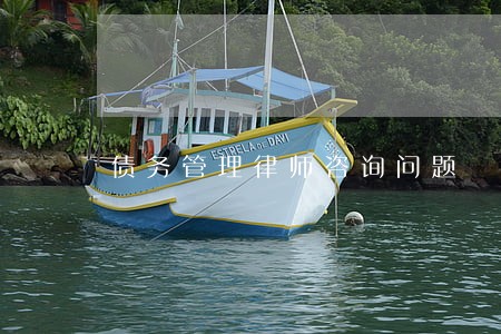 债务管理律师咨询问题 债务管理律师咨询问题