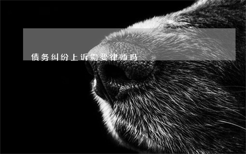 债务纠纷上诉需要律师吗 债务纠纷上诉需要律师吗