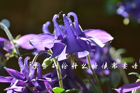 债务纠纷什么时候需要请律师 债务纠纷什么时候需要请律师