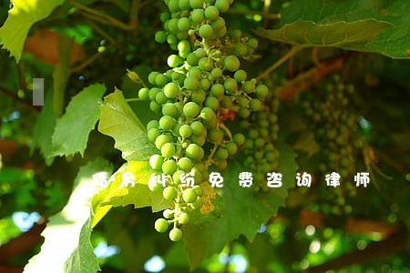 债务纠纷免费咨询律师 债务纠纷免费咨询律师