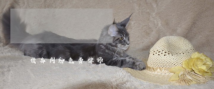 债务纠纷免费律师 债务纠纷免费律师