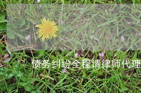 债务纠纷全程请律师代理 债务纠纷全程请律师代理