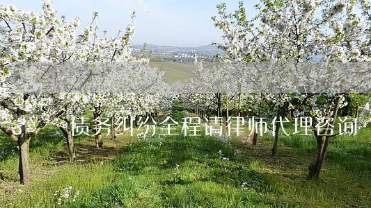 债务纠纷全程请律师代理咨询 债务纠纷全程请律师代理咨询