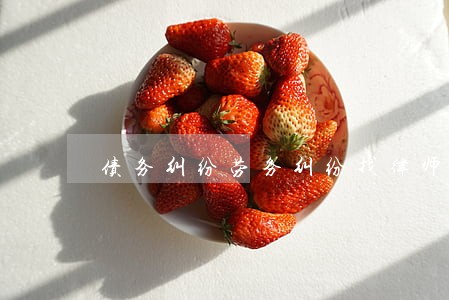 债务纠纷劳务纠纷找律师 债务纠纷劳务纠纷找律师