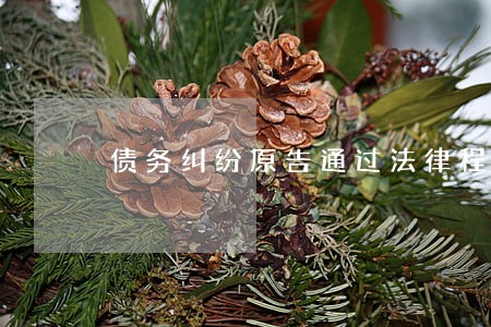 债务纠纷原告通过法律程序调解后 债务纠纷原告通过法律程序调解后