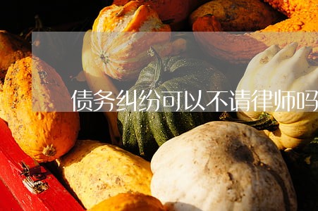 债务纠纷可以不请律师吗 债务纠纷可以不请律师吗