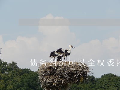 债务纠纷可以全权委托律师吗 债务纠纷可以全权委托律师吗