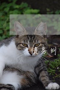 债务纠纷可以在原告方法院起诉吗 债务纠纷可以在原告方法院起诉吗