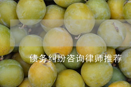 债务纠纷咨询律师推荐 债务纠纷咨询律师推荐