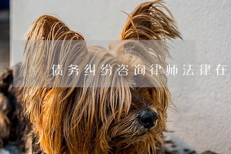 债务纠纷咨询律师法律在线 债务纠纷咨询律师法律在线