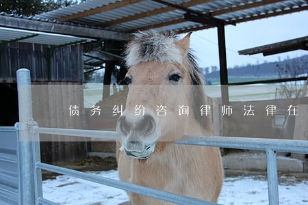 债务纠纷咨询律师法律在线问题 债务纠纷咨询律师法律在线问题
