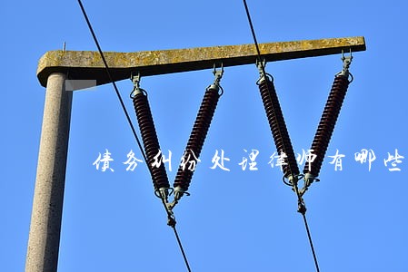 债务纠纷处理律师有哪些 债务纠纷处理律师有哪些