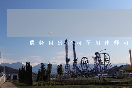 债务纠纷官司不用律师可以吗 债务纠纷官司不用律师可以吗