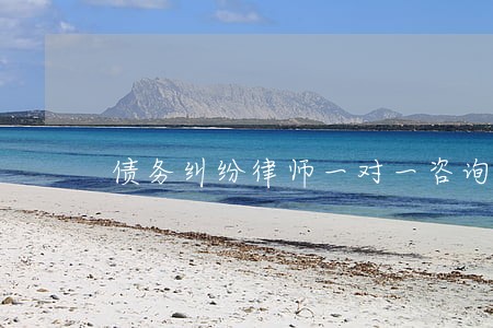 债务纠纷律师一对一咨询