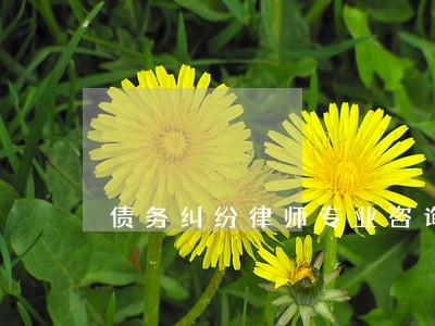 债务纠纷律师专业咨询