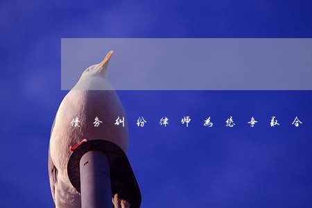 债务纠纷律师为您争取合法权益 债务纠纷律师为您争取合法权益