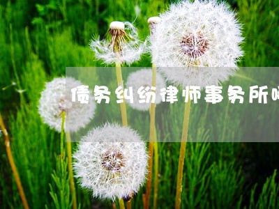 债务纠纷律师事务所哪里有