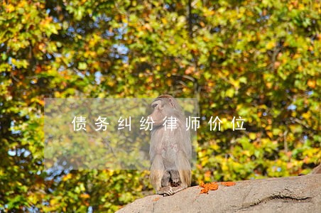 债务纠纷律师价位 债务纠纷律师价位