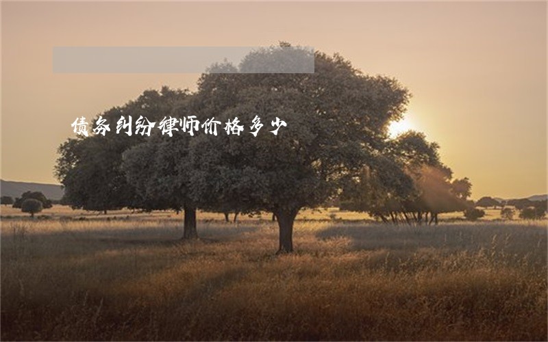 债务纠纷律师价格多少