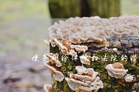 债务纠纷律师和法院的潜规则