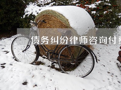 债务纠纷律师咨询付费 债务纠纷律师咨询付费
