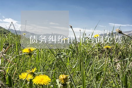 债务纠纷律师咨询免费 债务纠纷律师咨询免费