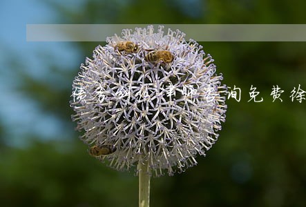 债务纠纷律师咨询免费徐州睢宁 债务纠纷律师咨询免费徐州睢宁